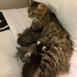 Meet your Posher, Cynthia